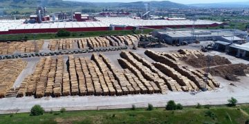 Filiera Schweighofer blocată în port