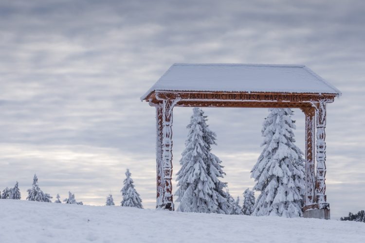 Imagini de vis în Pasul Prislop, la Borșa – FOTO
