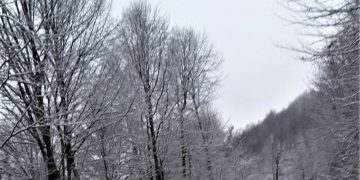 Vreme predominant frumoasă azi în Maramureş