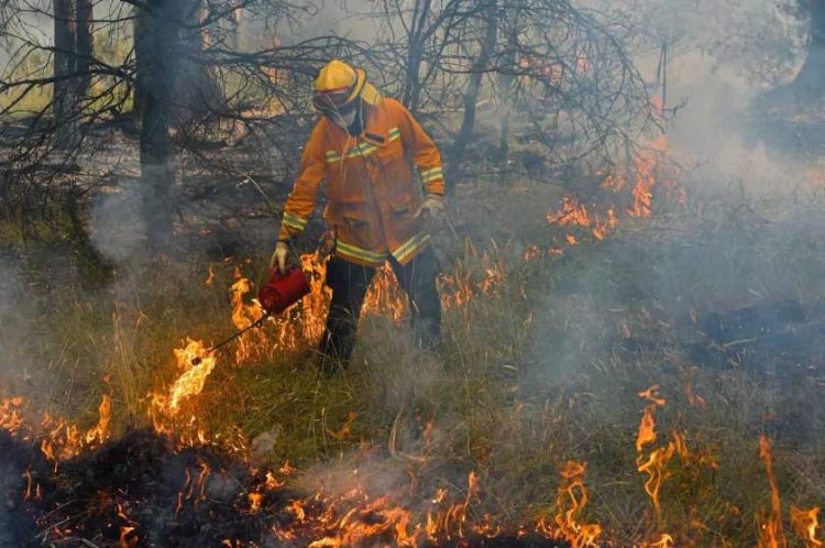 Pompier australian acuzat că a provocat 17 incendii, arestat
