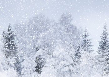 Temperaturi şi precipitaţii înregistrate de-a lungul anilor în luna ianuarie