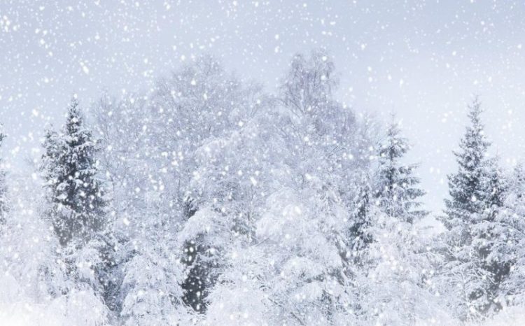 Temperaturi şi precipitaţii înregistrate de-a lungul anilor în luna ianuarie