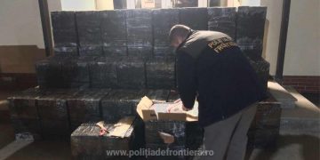 Peste 25.000 de pachete cu țigări de contrabandă, confiscate la frontiera de nord