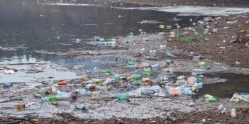 „Vai de basca noastră, lăpușenilor!” Tone de deșeuri în Râul Lăpuș