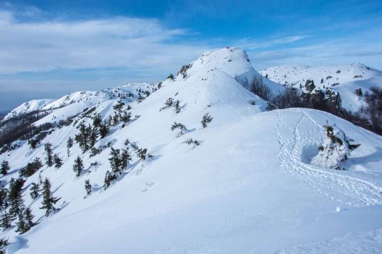 Drumeție de iarnă pe Munții Gutâi
