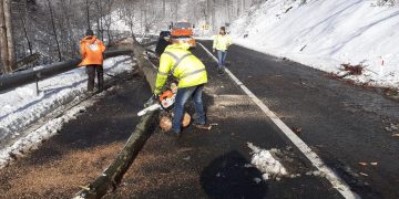 Copaci prăbușiți sub rafalele de vânt puternic pe DN18, Pasul Gutâi – foto