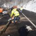 Copaci prăbușiți sub rafalele de vânt puternic pe DN18, Pasul Gutâi – foto