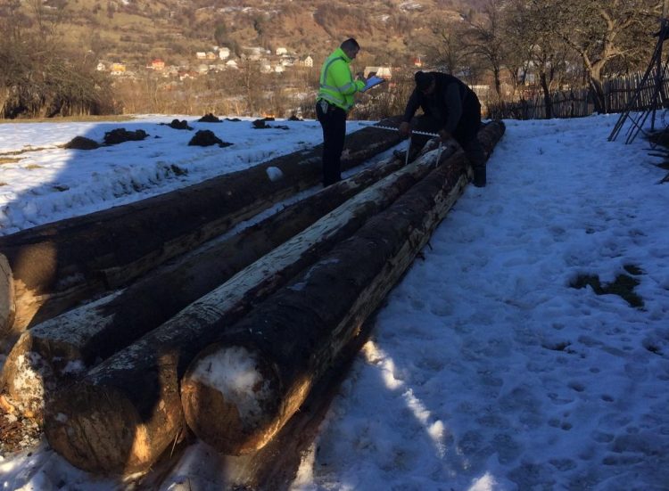 Şoferii certaţi cu legea şi persoanele implicate în infracţiuni silvice, în vizorul poliţiştilor din Ocna Şugatag şi Şomcuta Mare