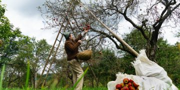Seminar de pomicultură la Liceul Tehnologic Agricol „Alexiu Berinde” Seini‎