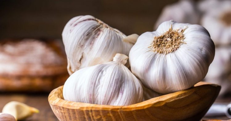 Fermierii ar putea primi un ajutor de minimis de 7,5 milioane lei prin programul de susţinere a producţiei de usturoi