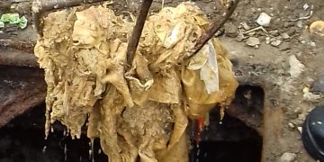 Recomandări Vital: Putem proteja rețeaua de canalizare și mediul înconjurător prin gesturi simple, dar responsabile! – foto