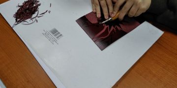 Cursuri suspendate până în 31 martie la Școala Populară de Artă