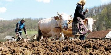 Chemare – îndemn de la Episcop către preoții și credincioșii din Eparhia Maramureșului și Sătmarului