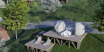 Un maramureșan face business cu aerul din pădurea seculară a comunei Băiuț