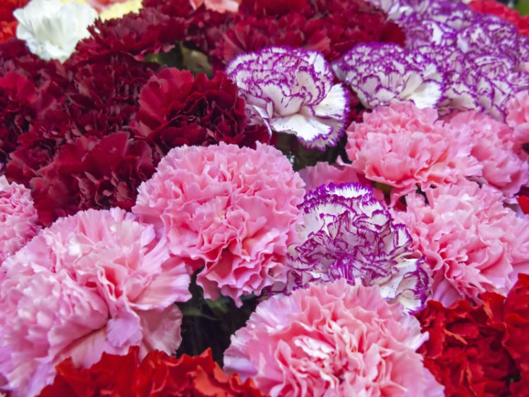 Flori şi mărţişoare sustrase de trei minori dintr-un chioşc din Seini