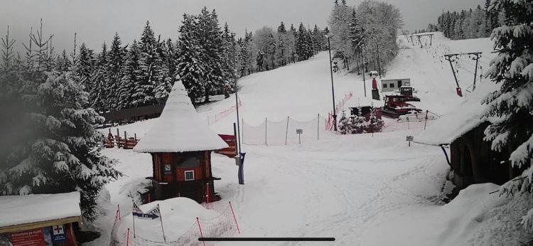 Ninge la Icoana Cavnic