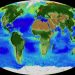 Singurul continent care nu a fost atins de coronavirus