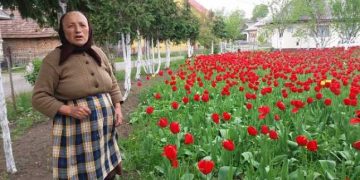 Frumuseți în timp de pandemie: Ce se află în curtea unei bunici din Maramureș