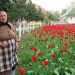 Frumuseți în timp de pandemie: Ce se află în curtea unei bunici din Maramureș