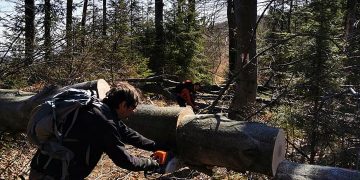 Zi plină pentru salvamontiștii maramureșeni – FOTO