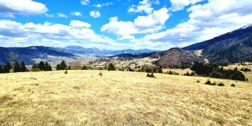 Imagini din inima munților maramureșeni: „Aici nu există pandemie!”