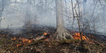 Zi plina pentru Salvamont Maramureș. Ce intervenții au avut. FOTO