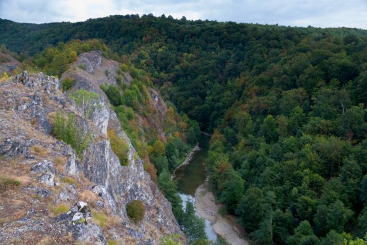 Loc unic în România, Cheile Lăpuşului
