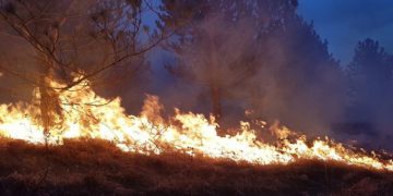 Arde pădurea din Maramureș