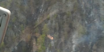 Incendiu la Pietrele Șoimului. Pădurea arde ca o torță – FOTO