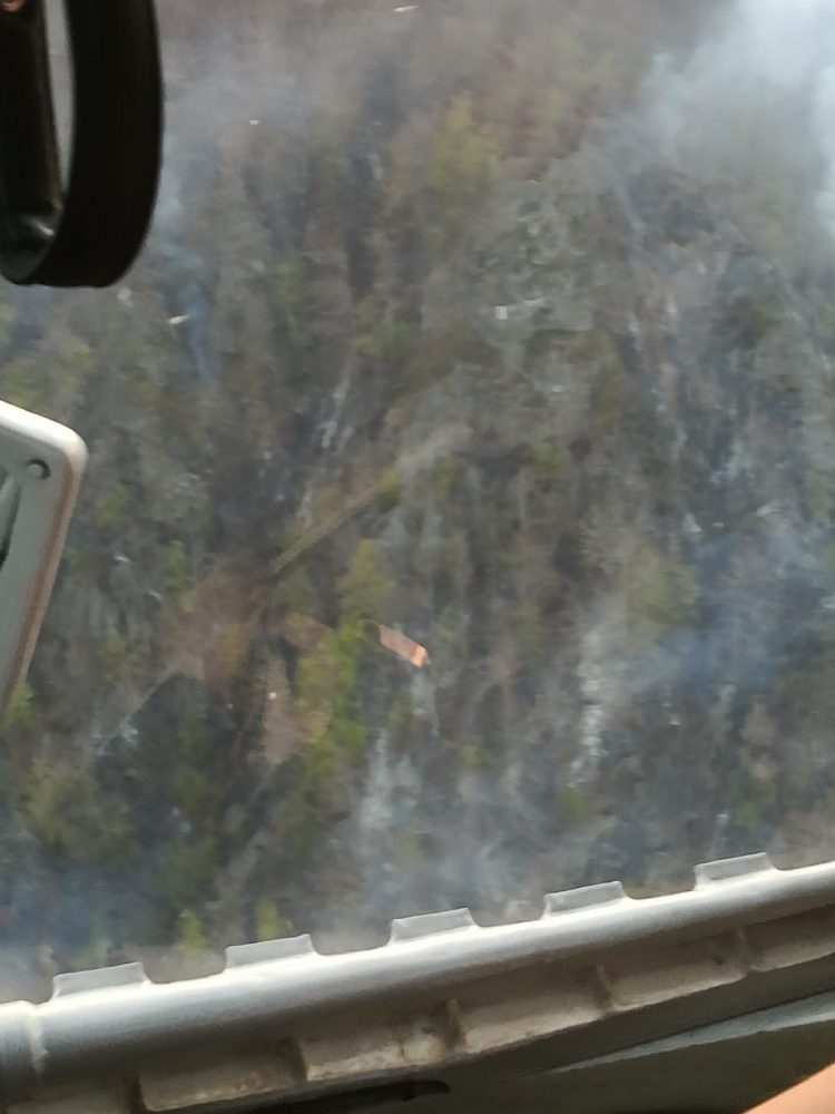 Incendiu la Pietrele Șoimului. Pădurea arde ca o torță – FOTO