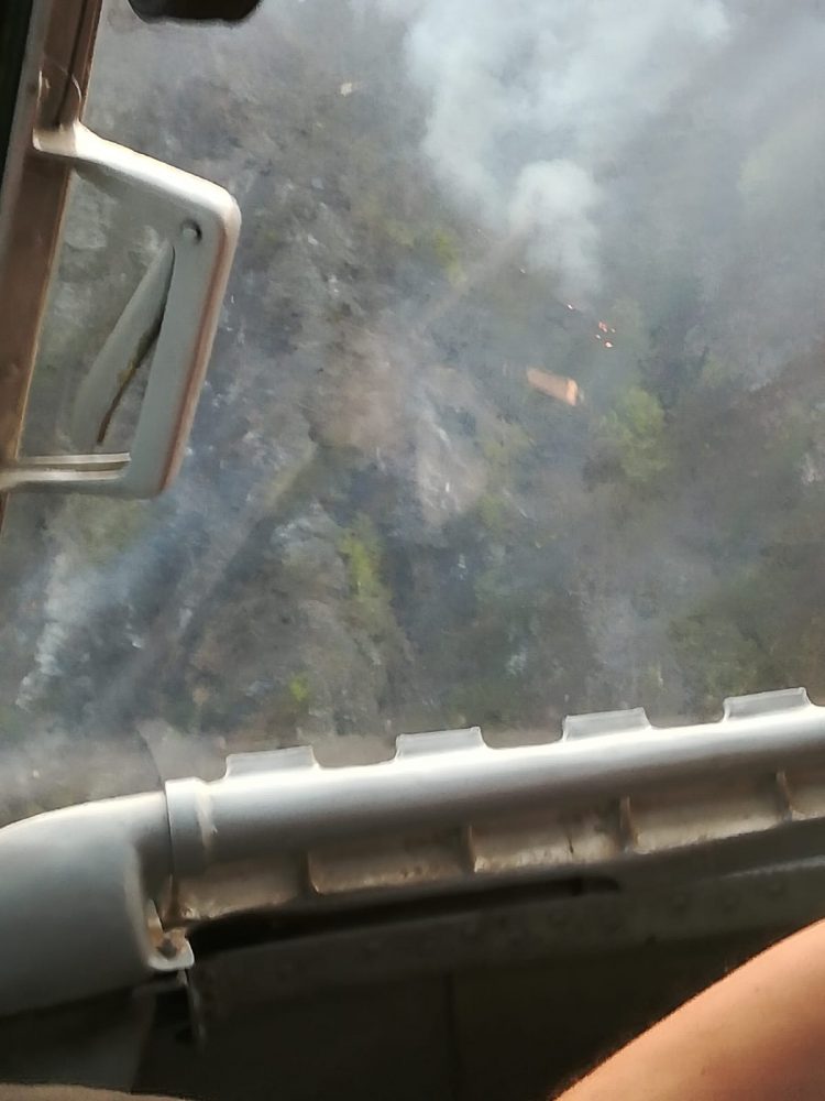 Incendiu la Pietrele Șoimului. Pădurea arde ca o torță – FOTO