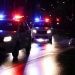 Evoluția polițiștilor din România: De la papagali, la ucigași