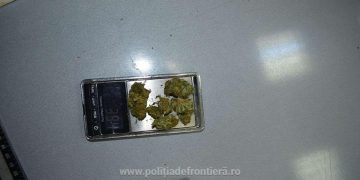 Doi maramureșeni prinși cu cannabis asupra lor – foto