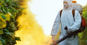 Începe deratizarea în Municipiul Baia Mare