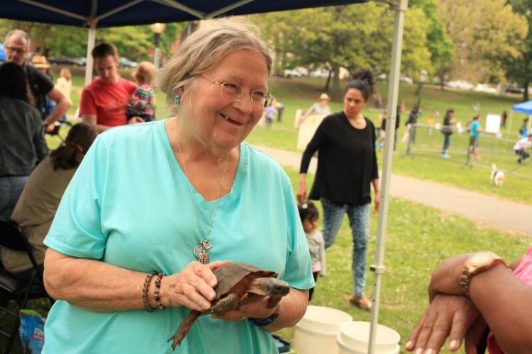 O femeie de 60 de ani, amendată  după ce a ieşit la plimbare cu o ţestoasă