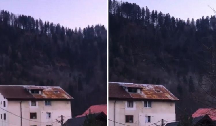 Noi imagini cu versantul prăbușit cu tot cu pădure, în Azuga. Terenul aparține Casei Regale