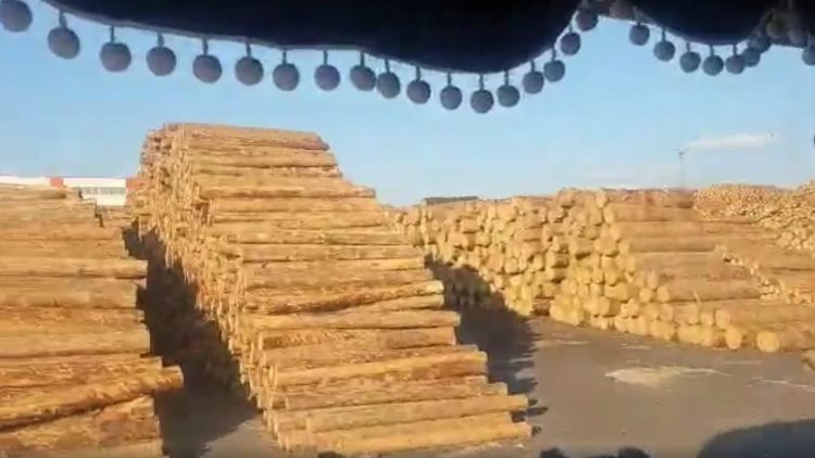 „Munți” de lemne în curțile fabricilor Holzindustrie – Schweighofer