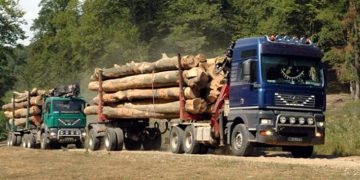 Ministrul Mediului: Gărzile Forestiere, MAI și MApN vor păzi pădurile în perioada stării de urgență