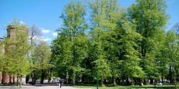 Ce folosesc autoritățile dintr-un oraș suedez pentru a-i descuraja pe localnici să iasă în parc
