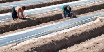 Prizonieri români abandonați pe stradă în Germania. Unii angajatori nu respectă măsurile de carantină, potrivit Deutsche Welle