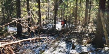 Lucrări de întreținere a traseelor turistice din județ efectuate de Serviciul Public Județean Salvamont Maramureș