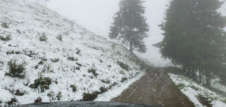 Borșa: Iarnă ca-n povești în prag de vară. GALERIE FOTO