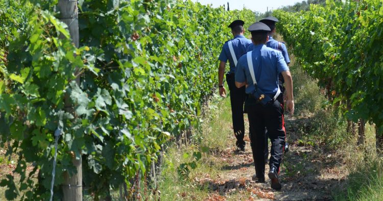 Patron italian amendat cu peste 20.000 de euro, avea 7 muncitori români la negru