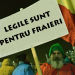 Fraierii și legea: Dovezi de prostie, acte de inconștiență. Totul în România