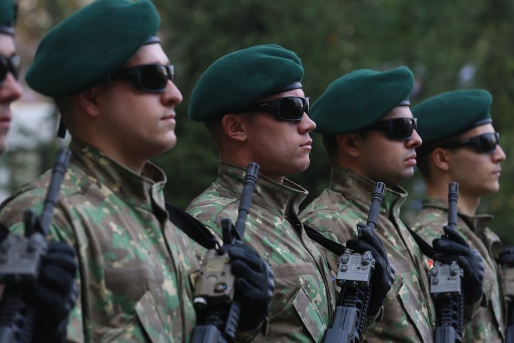 Măsuri de reorganizare a MApN, adoptate în şedinţa de guvern