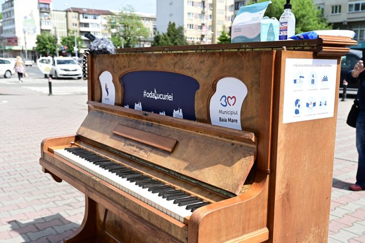 „Oda Bucuriei băimărenilor” a fost asigurată de Asociația ASSOC