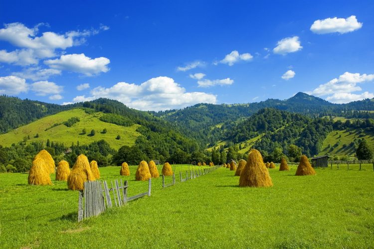 Cum va fi vremea în următoarele zile în România