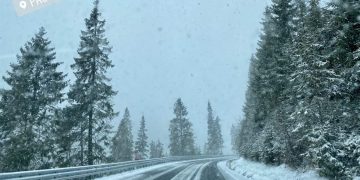 Hai afară la zăpadă! În Maramureș ninge, iar stratul de zăpadă are 5 cm  – FOTO