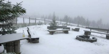 Hai afară la zăpadă! În Maramureș ninge, iar stratul de zăpadă are 5 cm  – FOTO