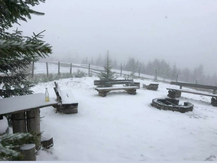 Hai afară la zăpadă! În Maramureș ninge, iar stratul de zăpadă are 5 cm  – FOTO